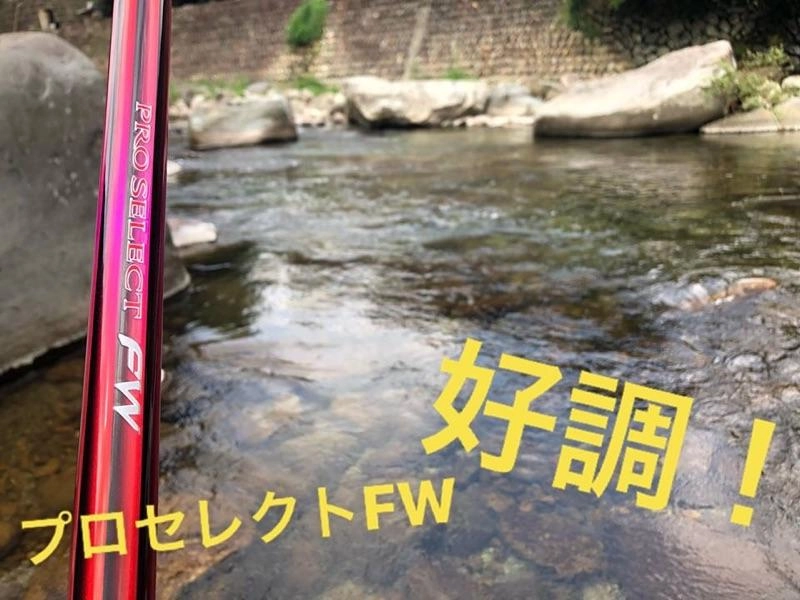今年はこの竿が調子良いです！