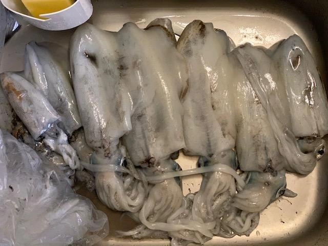 一人でこれだけ釣り上げました～！