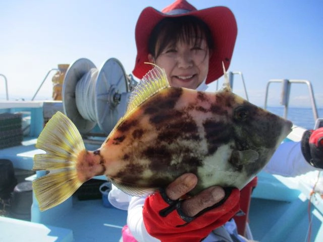 いつものツリジョ様はデラ旨過ぎる❷❽㌢ドデカハギを釣り上げましたよッ(°▽°)