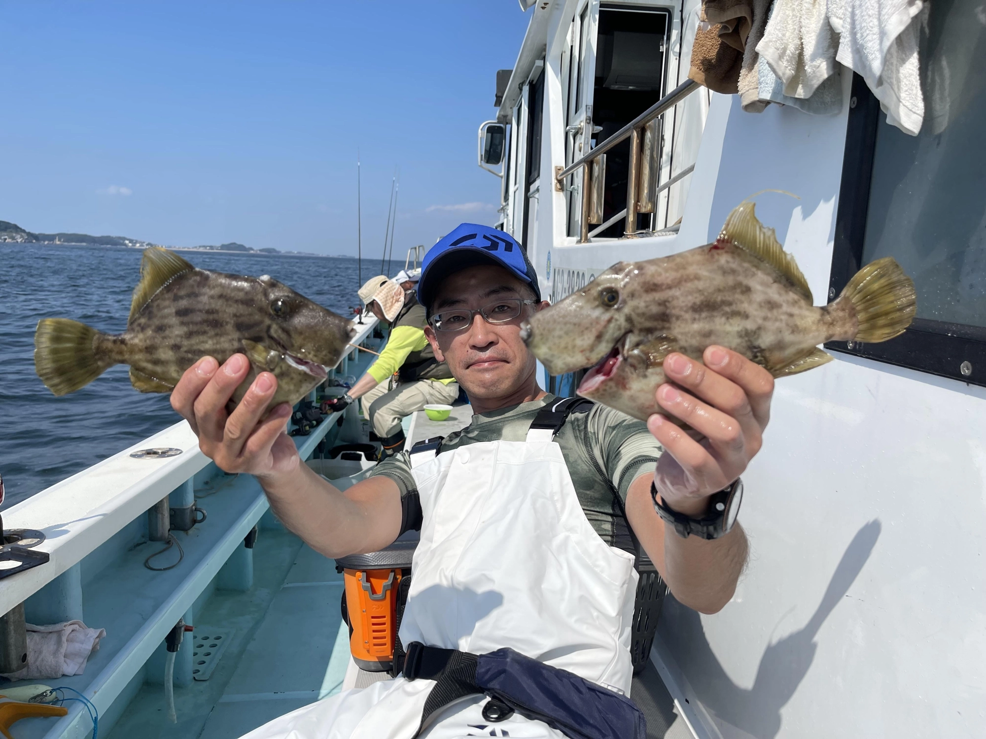 こちらの常連様は❷❾㌢Overのデカハギを釣り上げるッ( ͡° ͜ʖ ͡°)