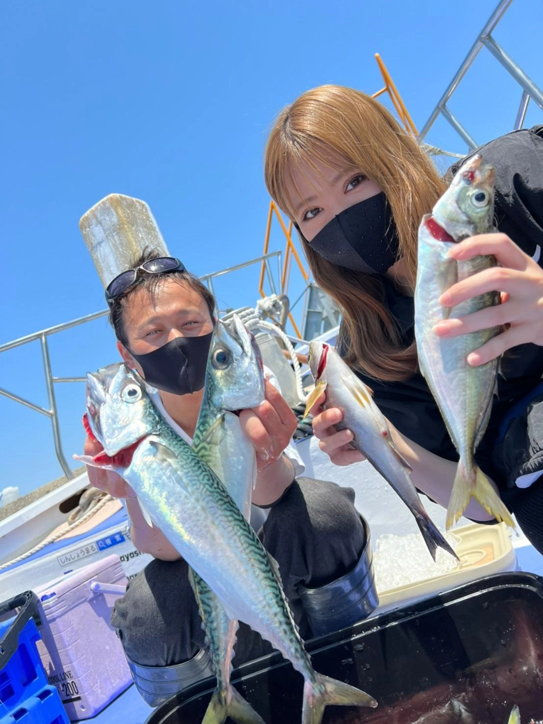 深場のコマセ釣りで良型のアジ釣れました！脂が凄くのっており、型の良いアジです！