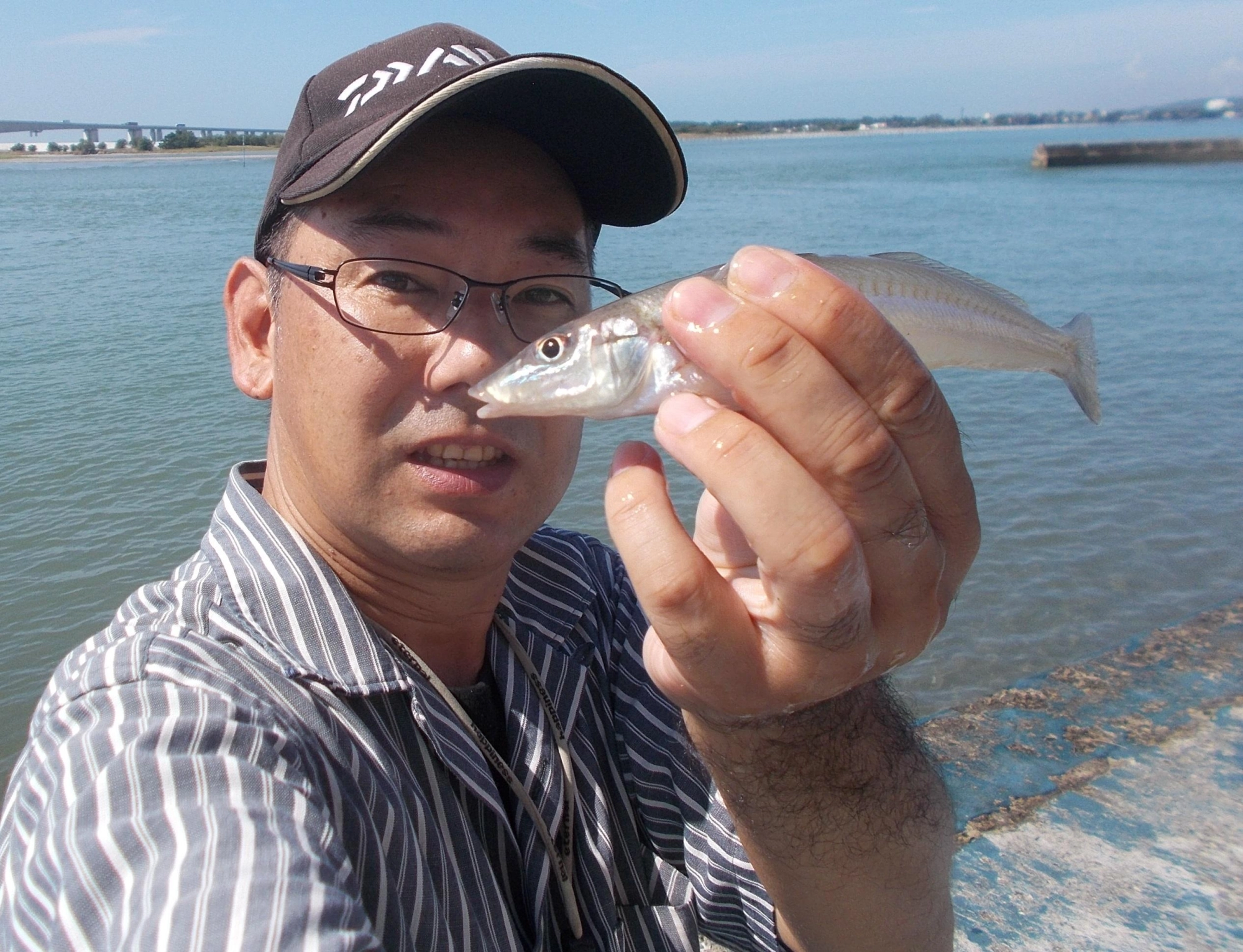 20㎝超えるキスが何匹か釣れました。ここはトイレ、水場、コンビニとファミリーフィッシングにオススメ釣場です。