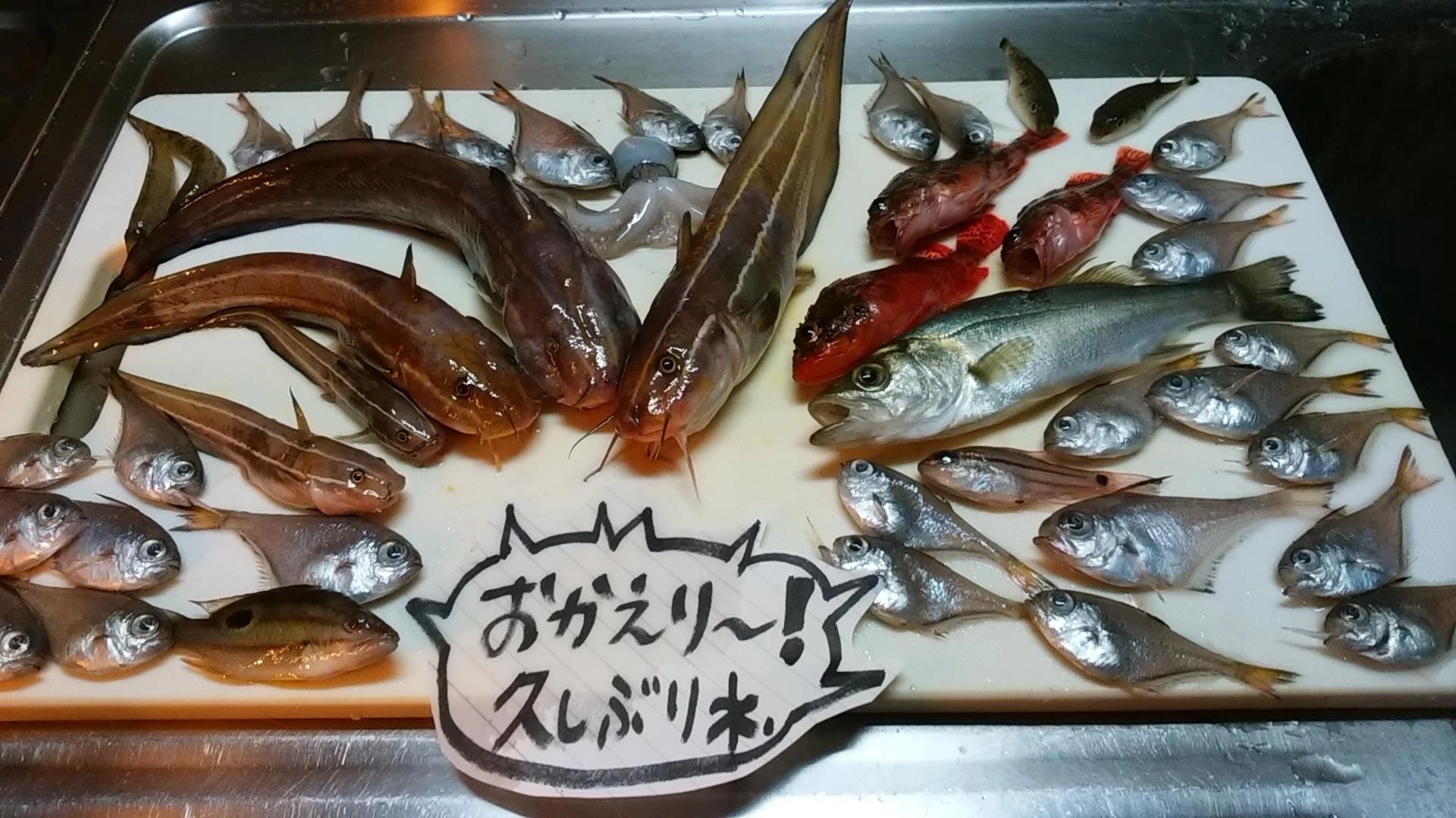 竜宮城デスヨ～☆