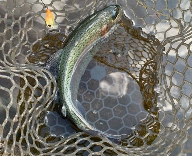 釣れる魚のコンディションは抜群、12月の氷が張るまで楽しめます。