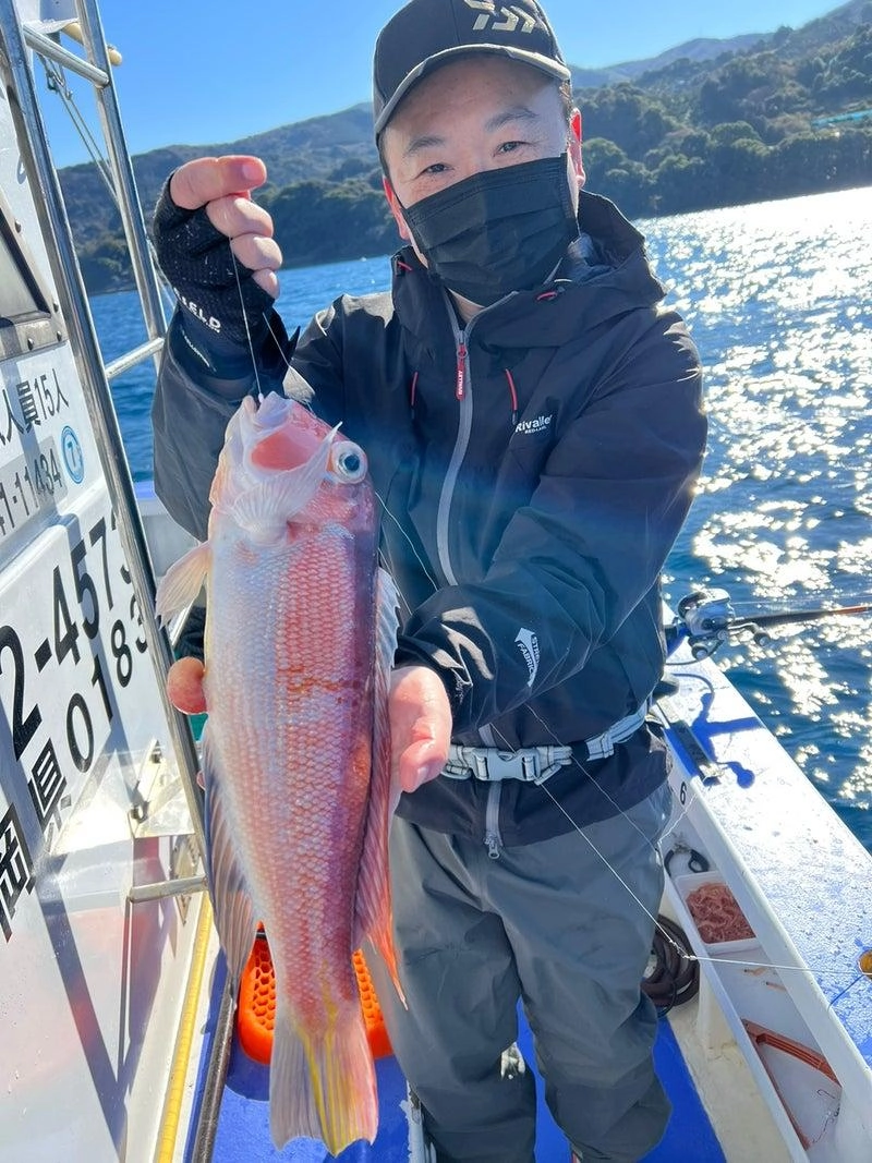 良型のアマダイ釣れてます！脂がすごく乗ってます！