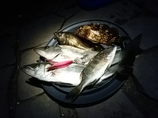 恵みに感謝