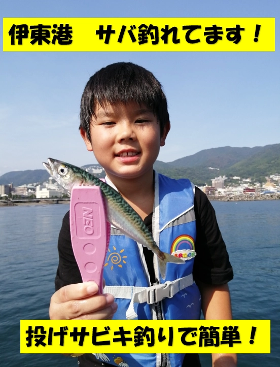 サバが釣れています！