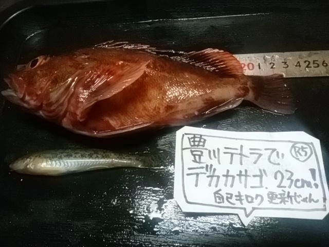 感謝