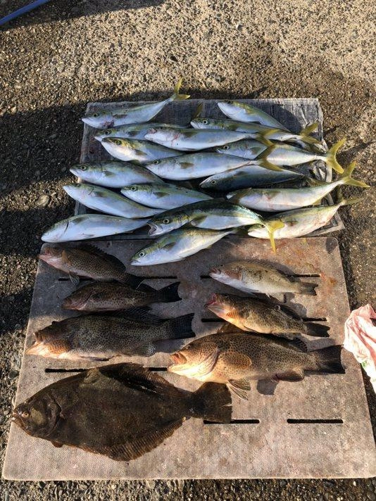 肉厚のヒラメにオオモンハタ、ハマチも大漁！