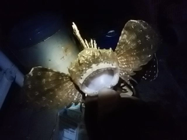 ラスボス