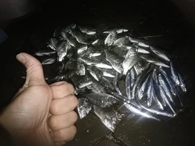 グッジョブ
