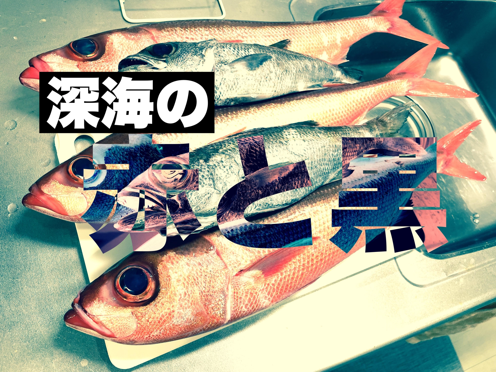 むつ様専用 こ