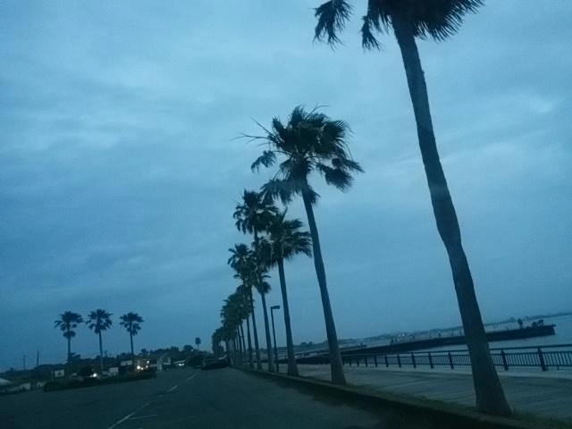 曇り時々雨