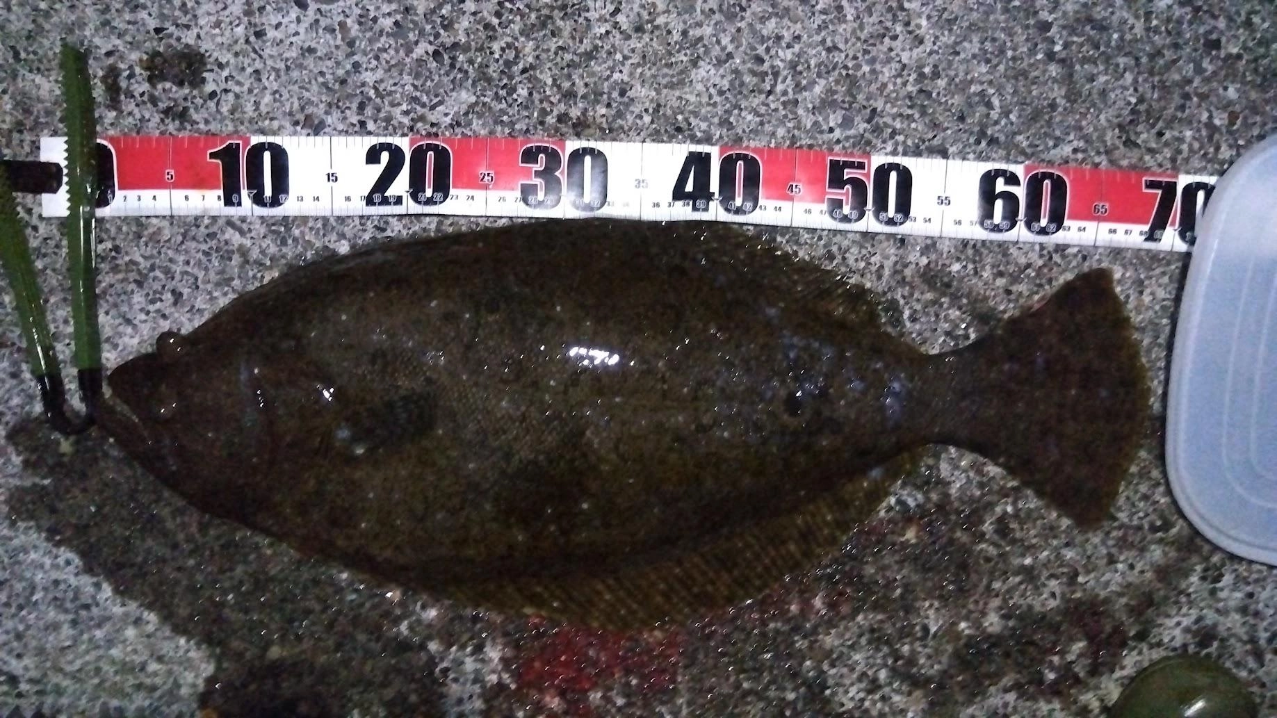 イカらしき２ヒットとウツボらしき根ズレ切れの３バラシをするも、肝心のヒラメはゲットできました。
ロデオグライダーMの口外掛で薄氷の勝利
危ないとこでした