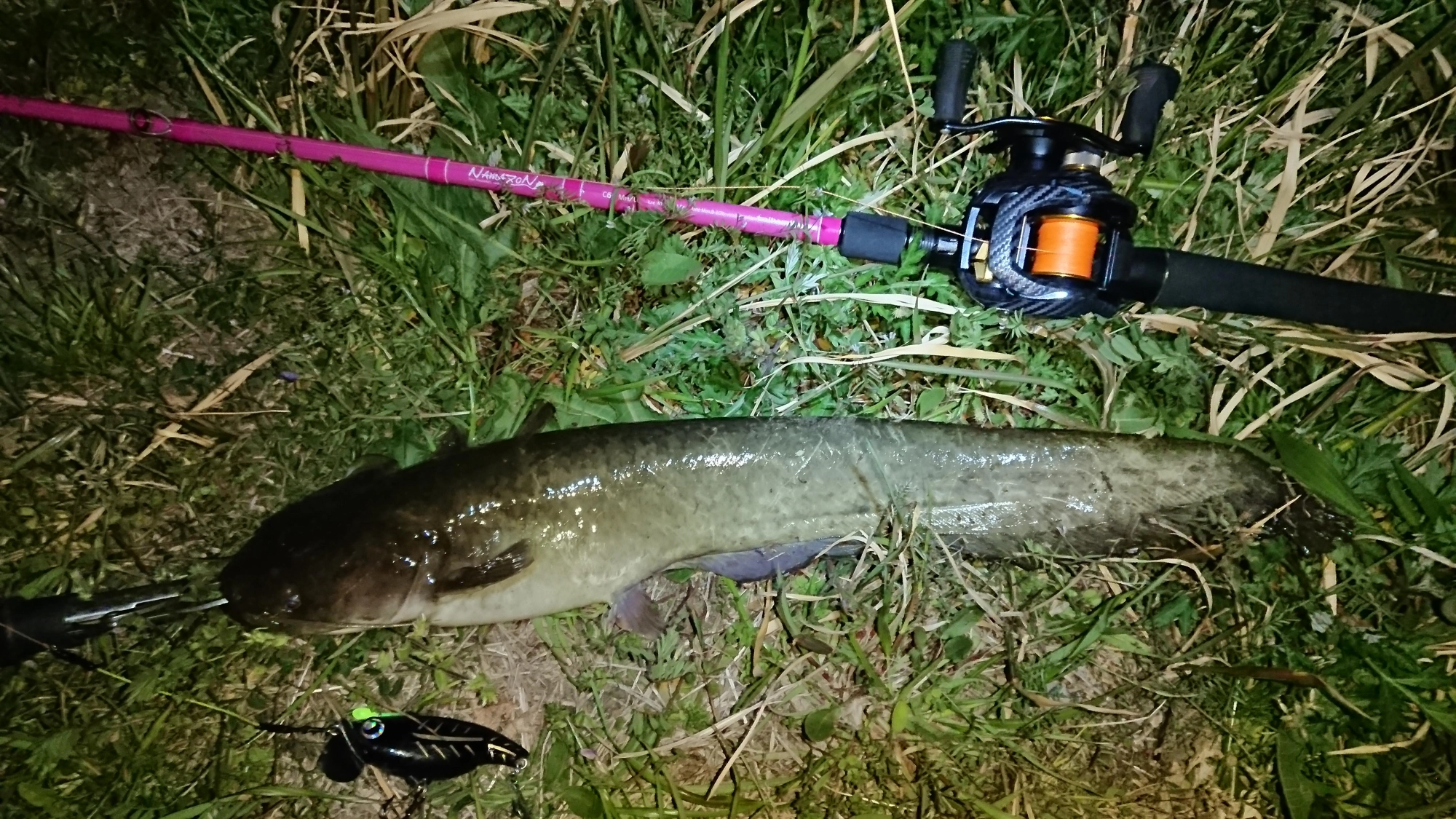 ルアーはロデオクラフト
プップ
ライン ユニチカ
トップウォーター専用PEライン シルバースレッド
50lb