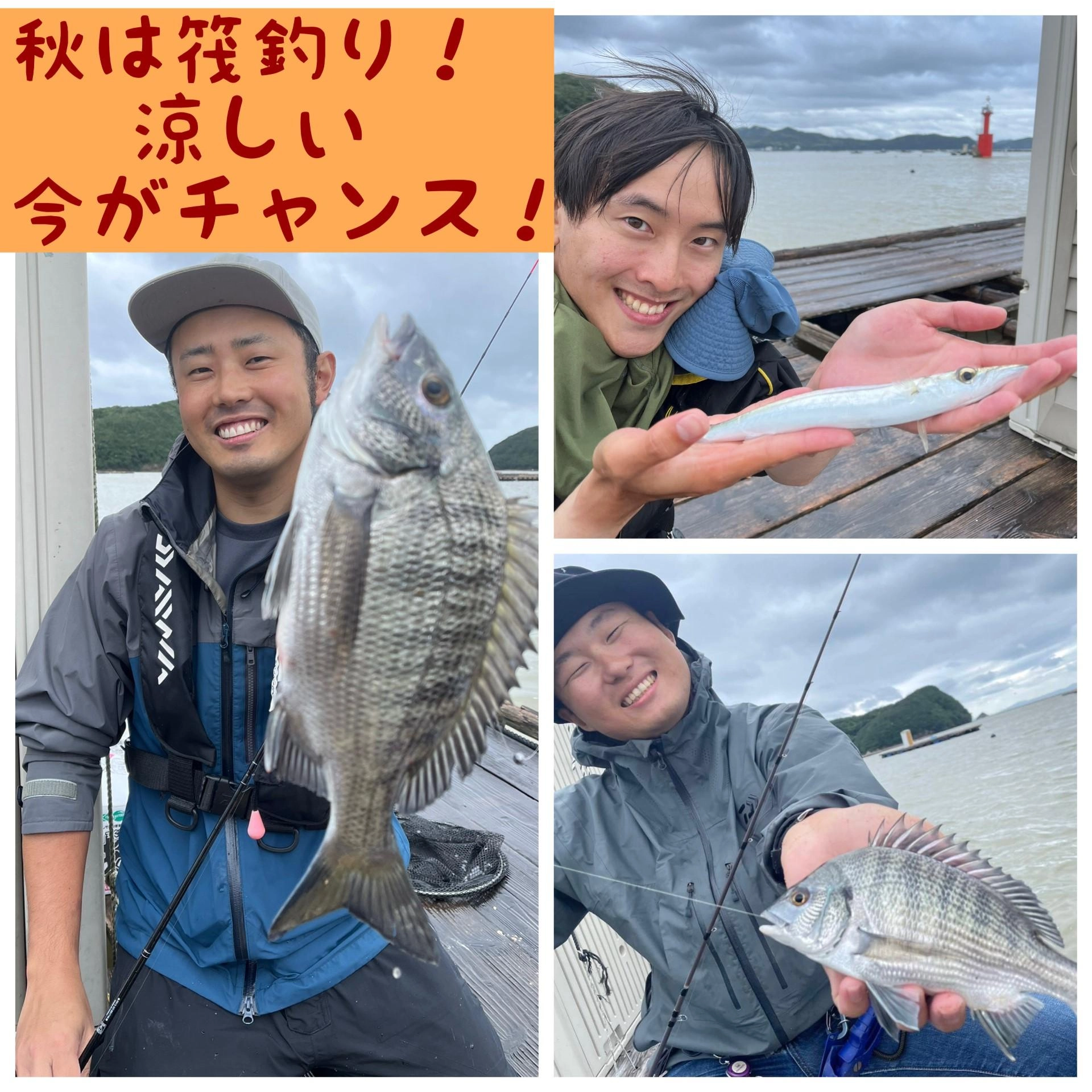 涼しくなってきてイカダ釣りも快適に楽しめますよ！