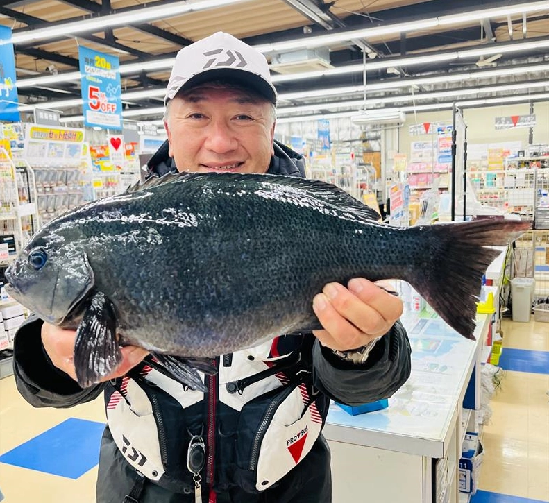さすが菊間さん！ハリス２号でメジナ47.5㎝！