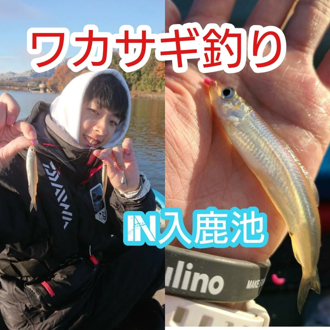 この冬は綺麗な魚体のわかさぎを釣りに行ってみてください！！