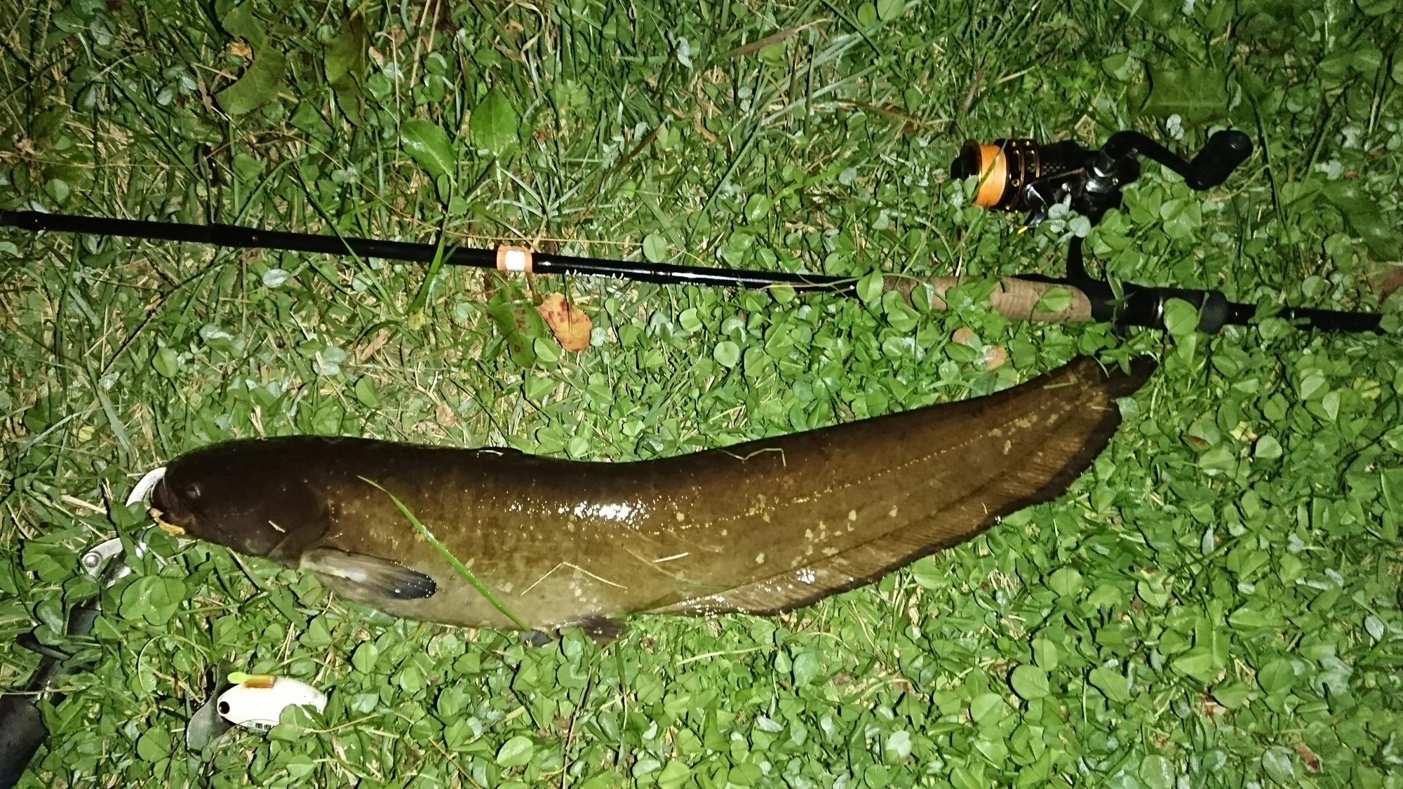 ルアーはザクトクラフト
ザグナ 三重県警察モデル