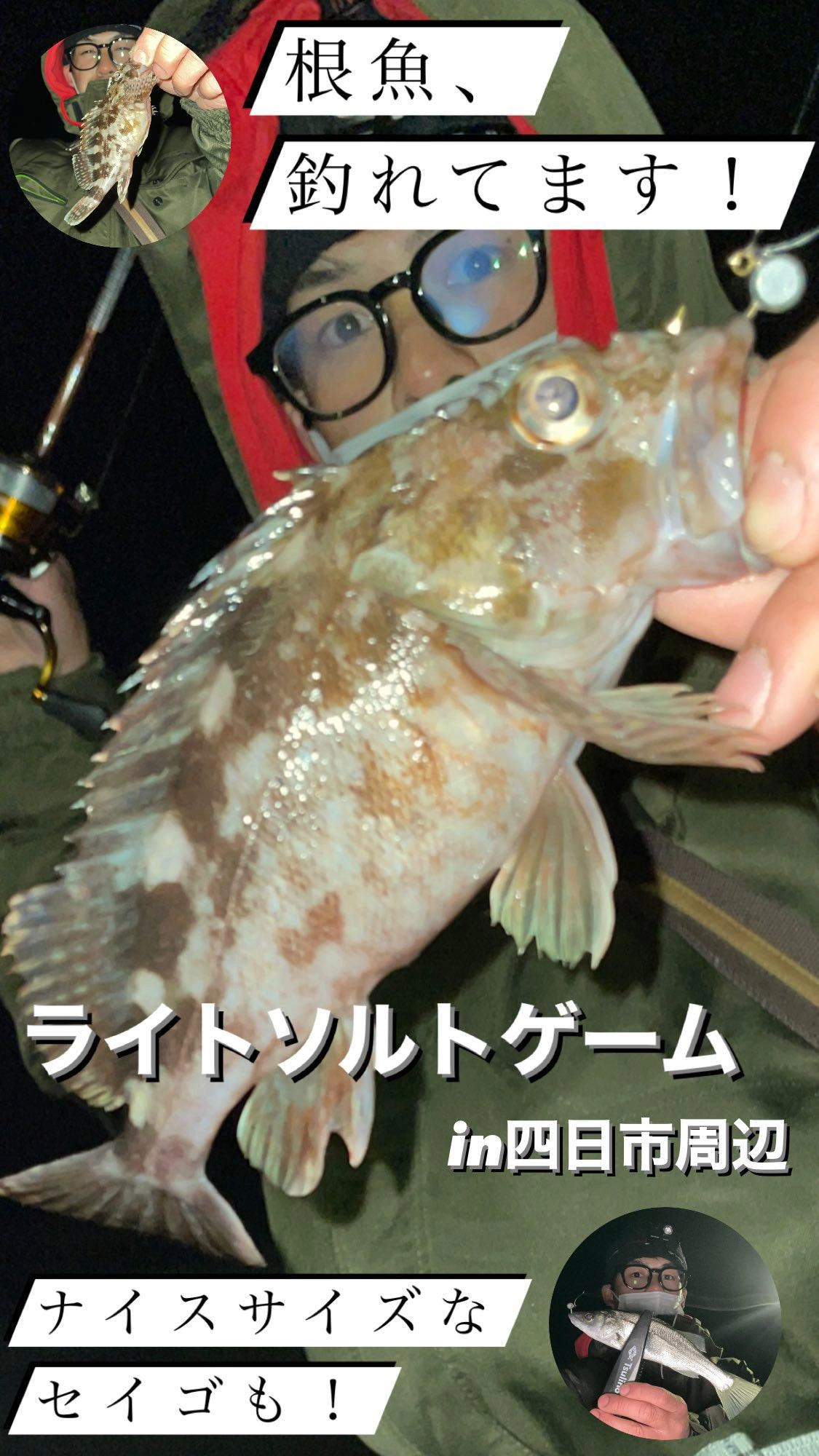 ライトソルトゲームin四日市周辺　根魚、釣れてます！　ナイスサイズのセイゴも！