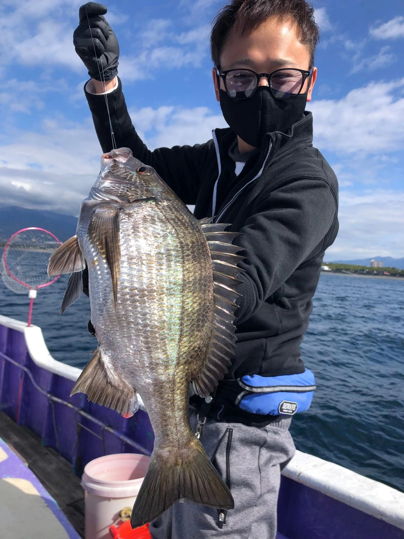 黒鯛の釣果もあります。沼津沖の黒鯛は絶品です！魚体の色も違いますので、ぜひ食べてみて下さい!!
