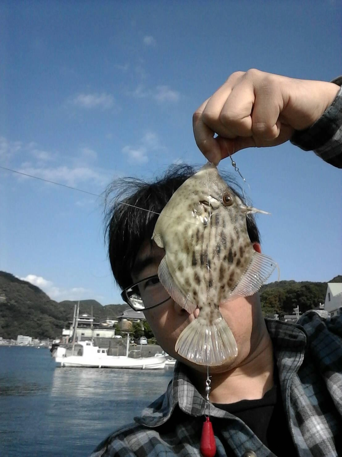 カワハギのサイズUPしてきました！