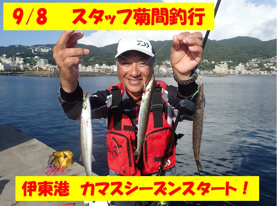 伊東港カマスシーズン始まりました！