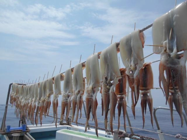 沖干しには、最高のサイズです。