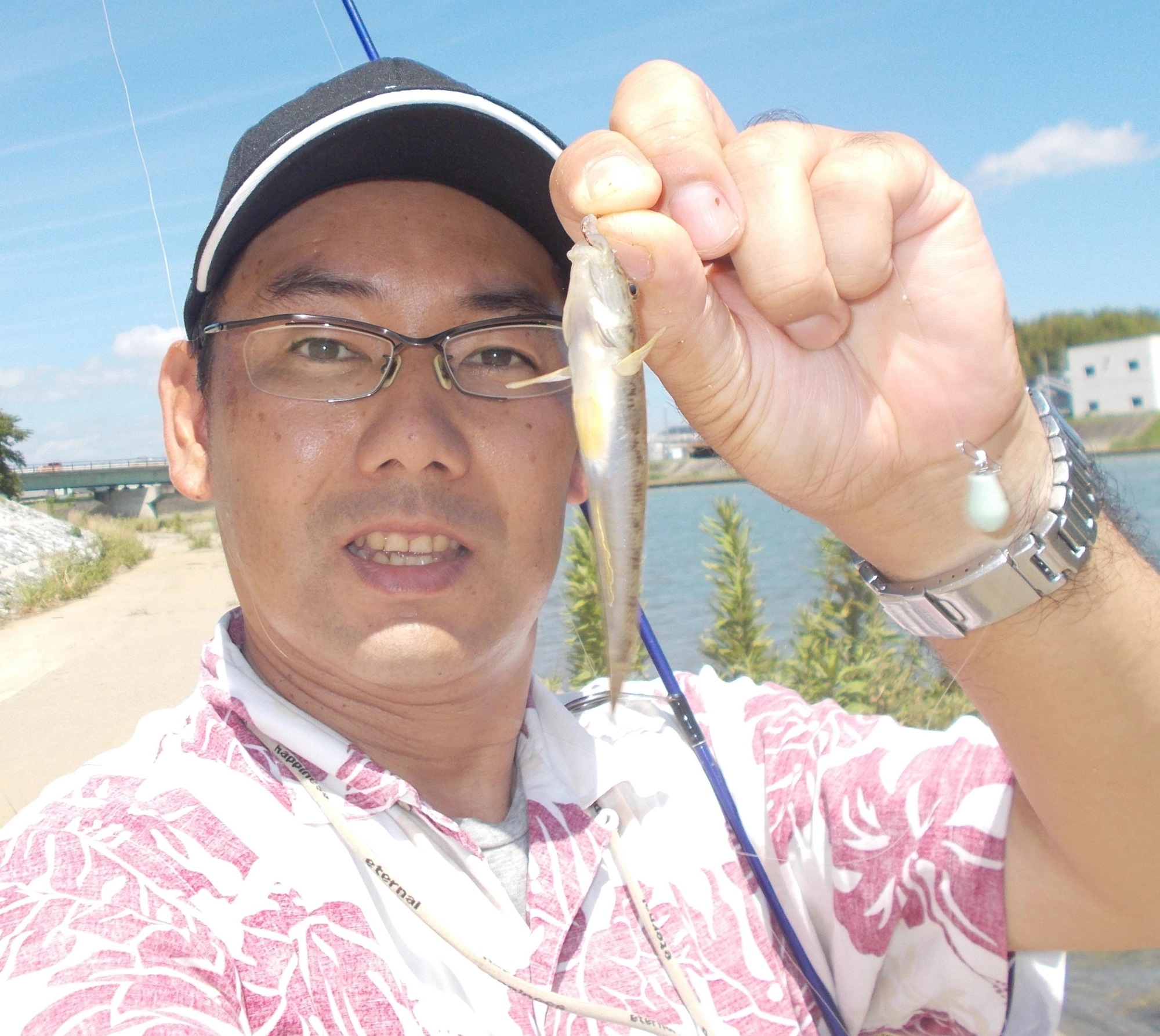 多少濁りはありましたがハゼがたくさん見えて楽しめました。