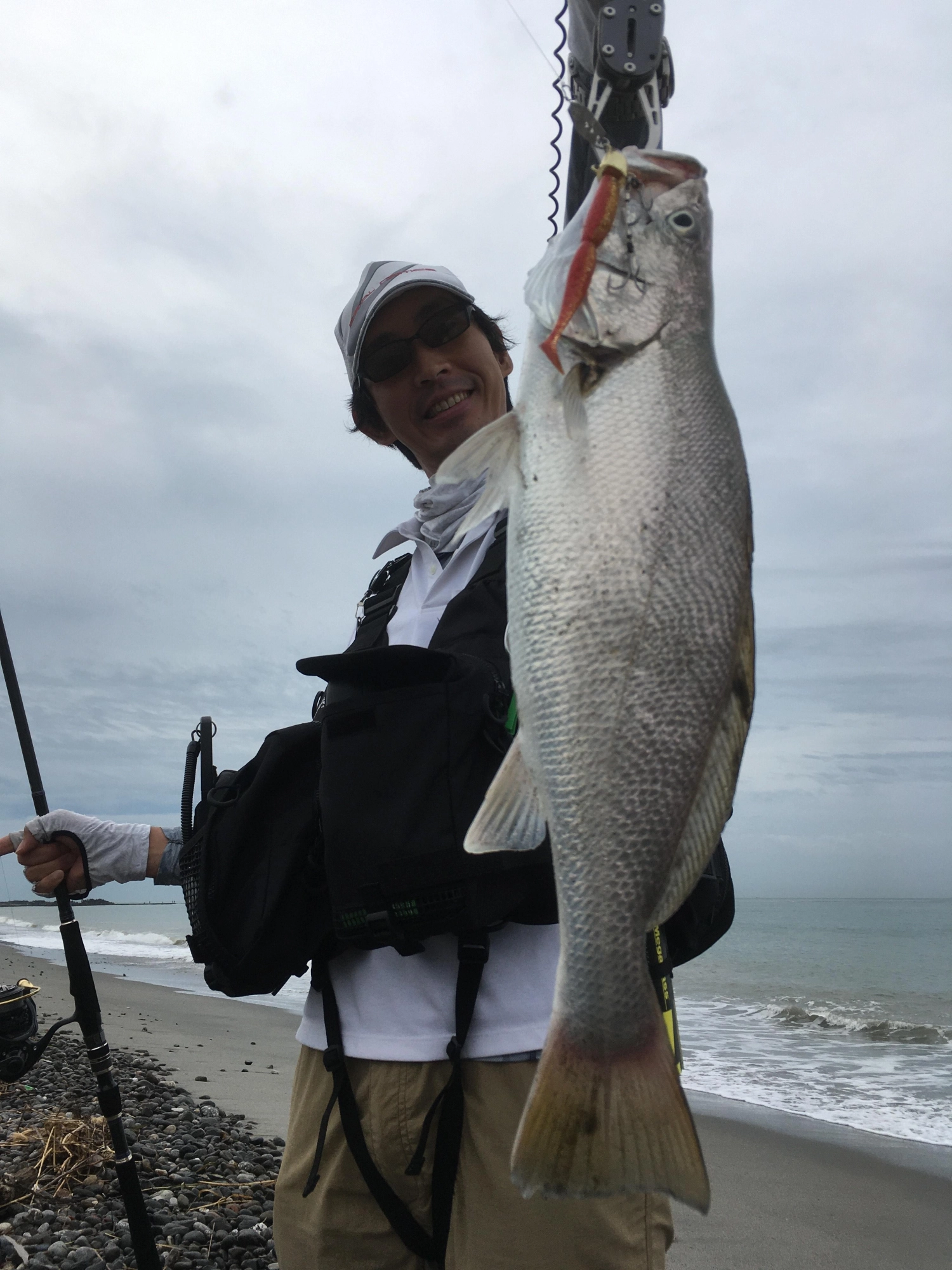 ボトムを取ってから４回転巻いて、また落とす。
これの繰り返しで釣れました。