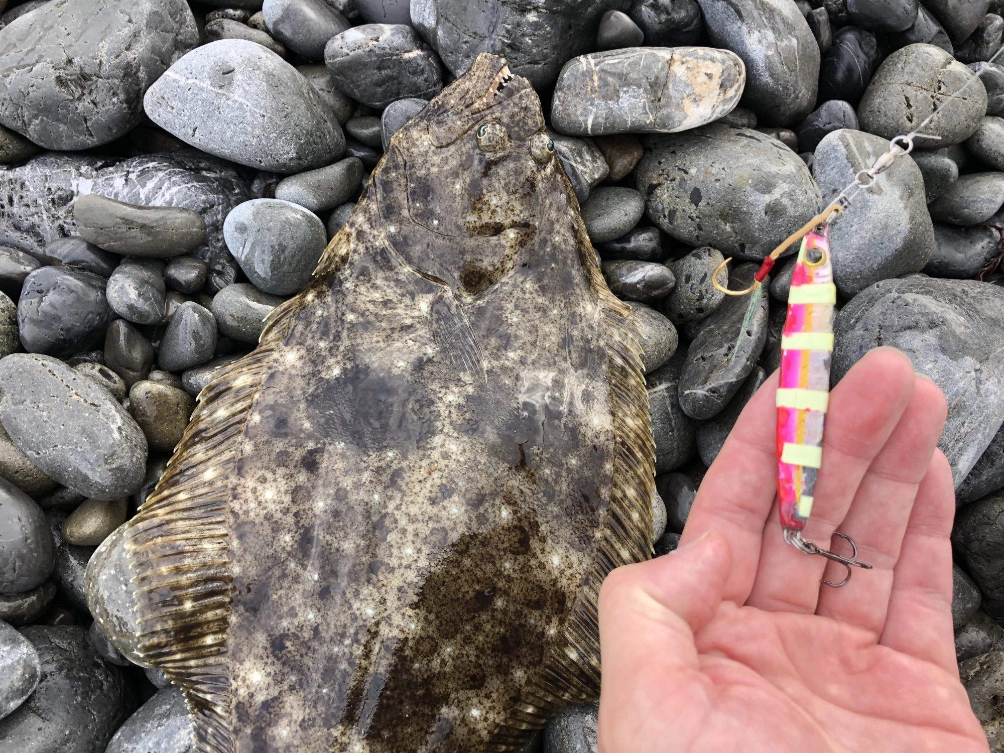 ジグ
ゼスタ ニトロ30g
ゼブラグローカスタム