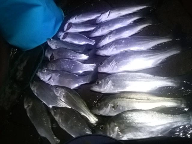 恵みに感謝