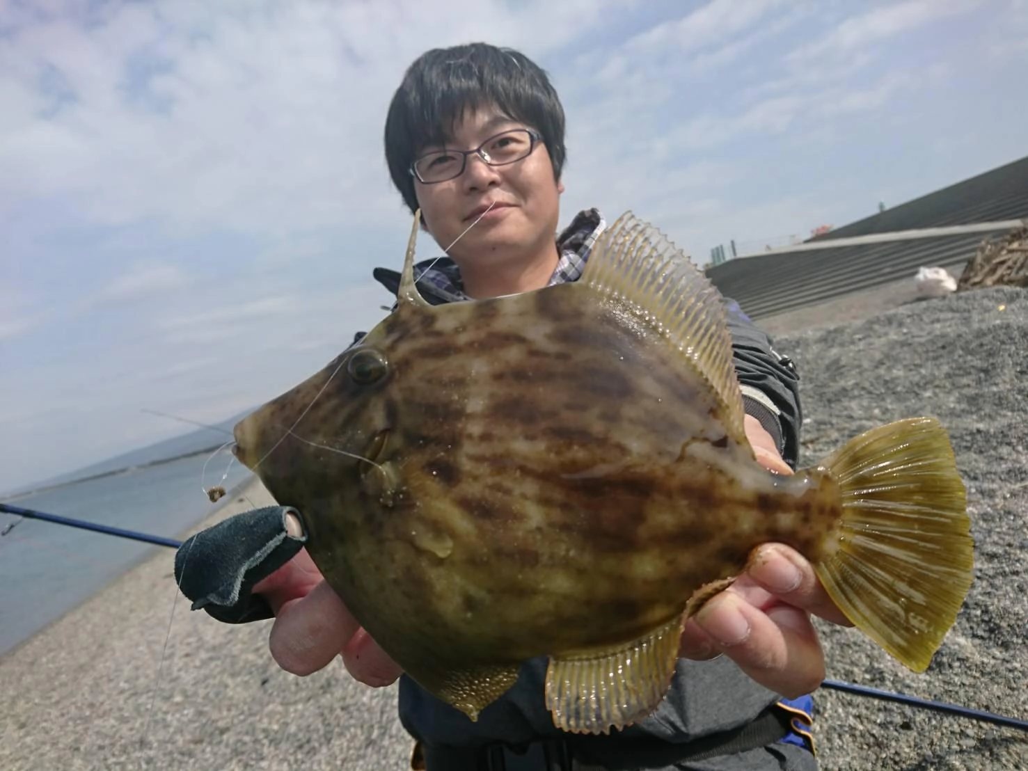 良型カワハギ釣れました！