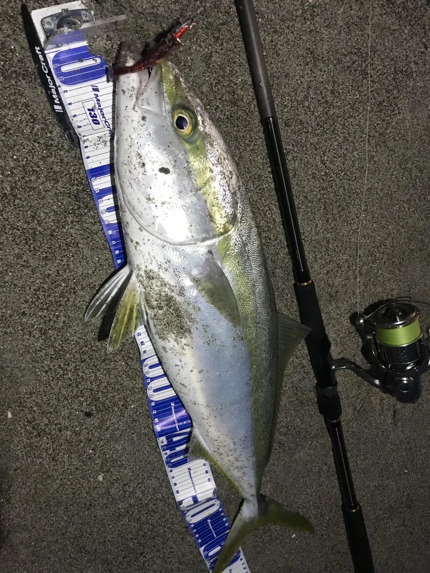 ヒットルアーは浜王18g