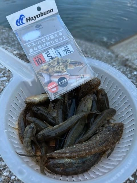 ハゼもキスも釣れる！Tsulinoの「楽々投げ釣りセット」