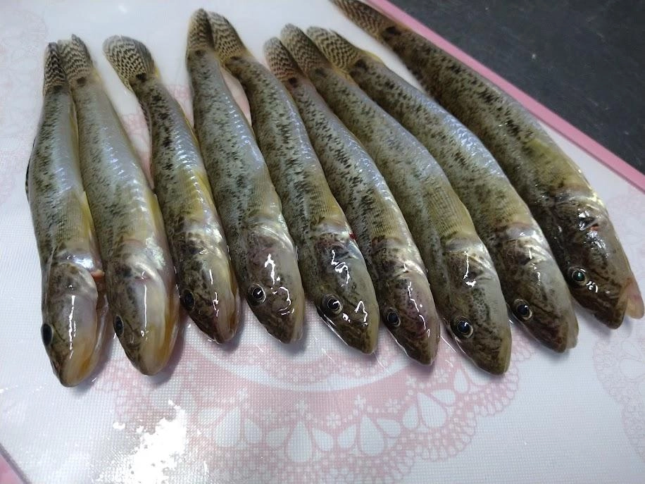 ﾇﾙﾇﾙがなければ鱚に似た感覚！