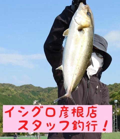 はさま浦釣堀センターに行ってきましたよ♪