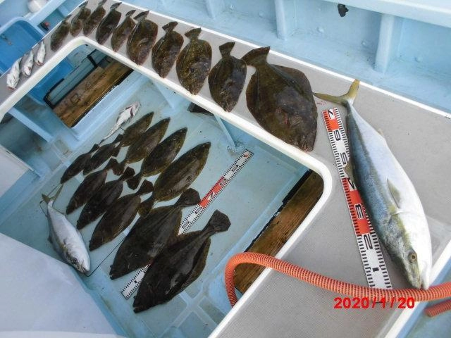 まだまだ激アツッ！！師崎『活き鰯ヒラメ釣り』ッ！！海底から上がって来るドキドキ感、半端ねぇ〜(°▽°)