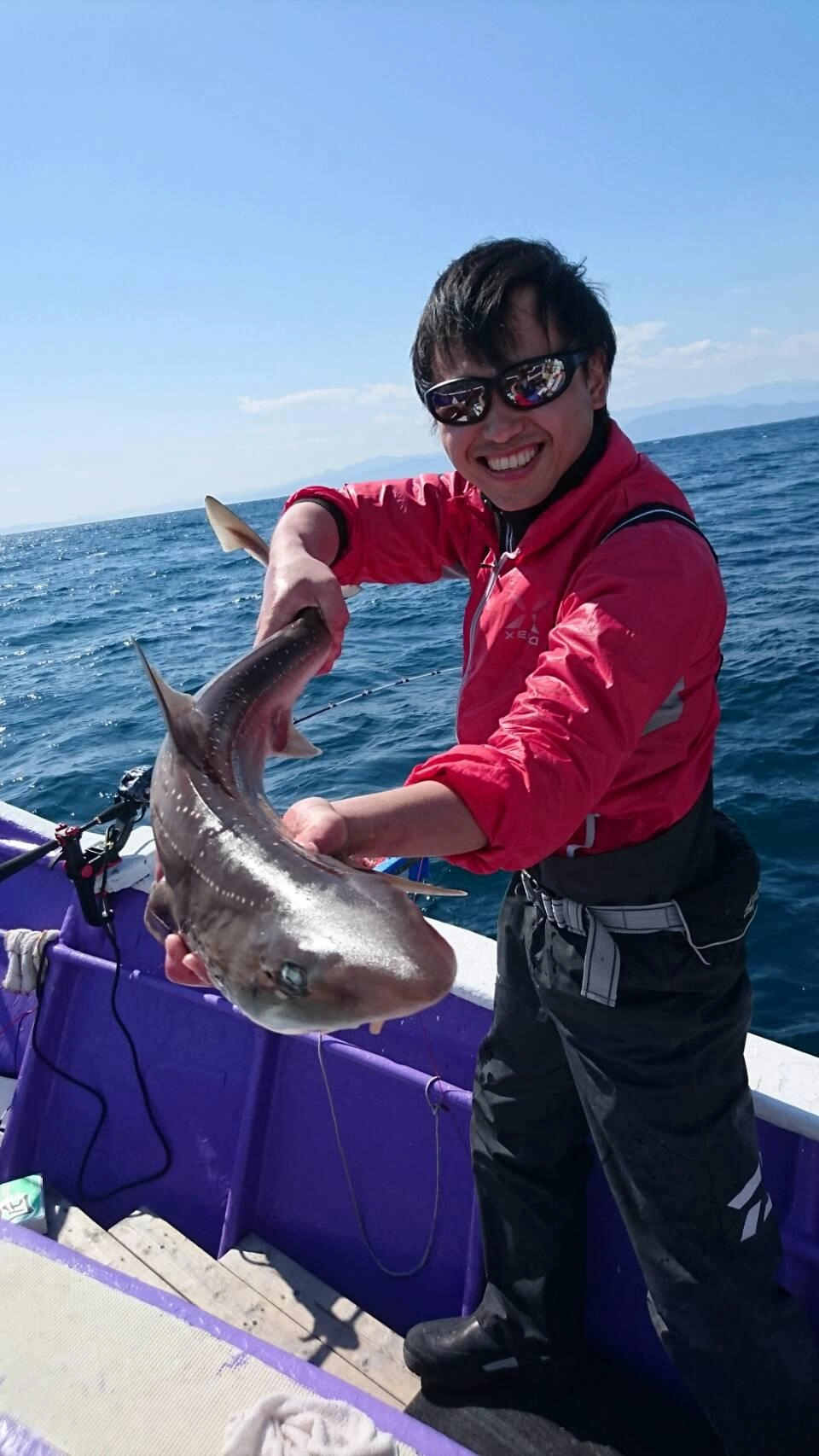 最後にサメも釣れました(笑)