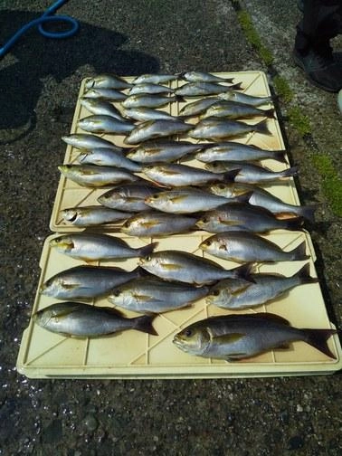 朝からよく釣れましたよ。
本日のＴＯＰ賞