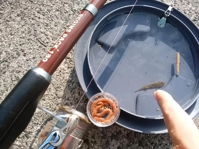 ちゃいち～
