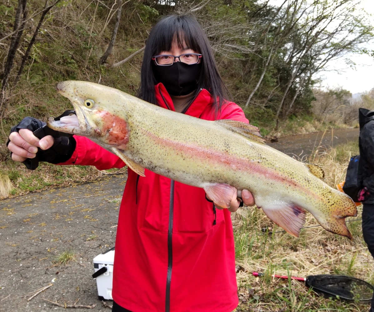 60㎝級の大型サイズも釣れています！