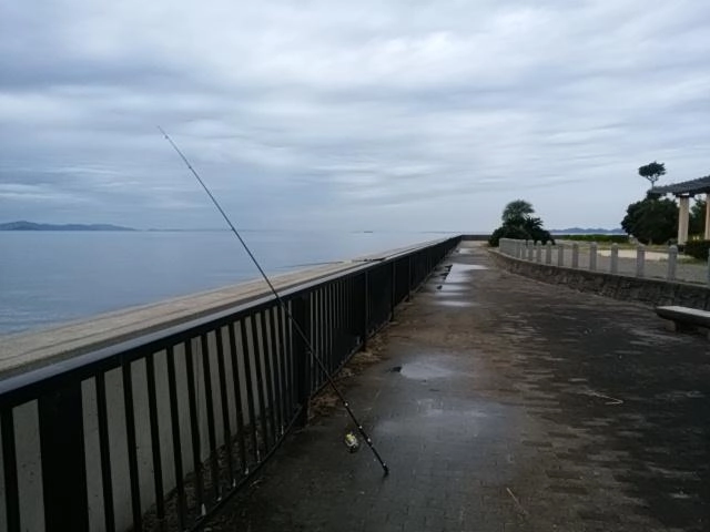 雨対策必要じゃ。