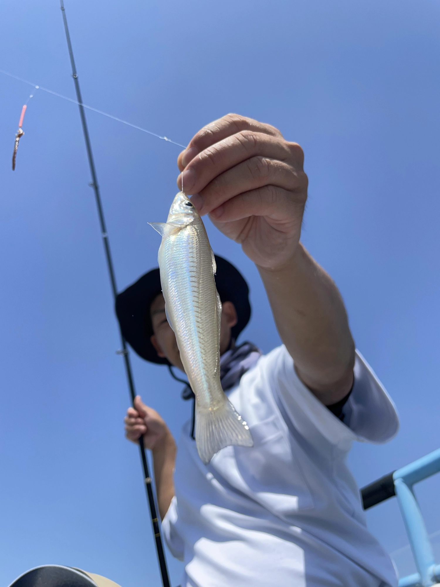 大きいシロギスが釣れてます！
マゴチなども狙えますよ！