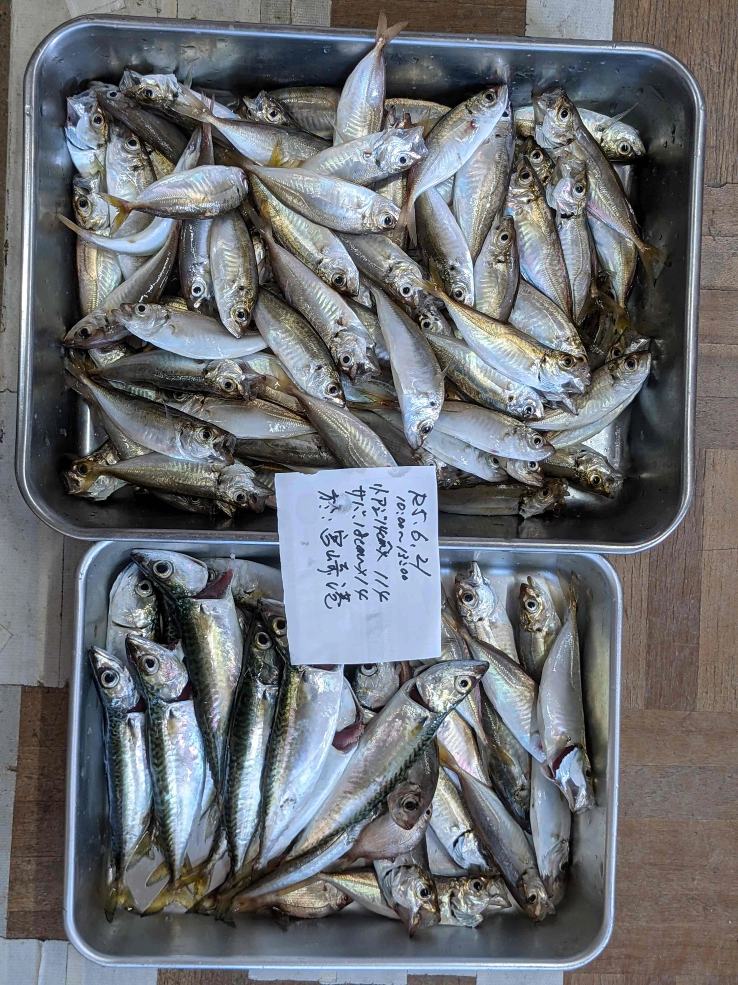 1091　持続に感謝