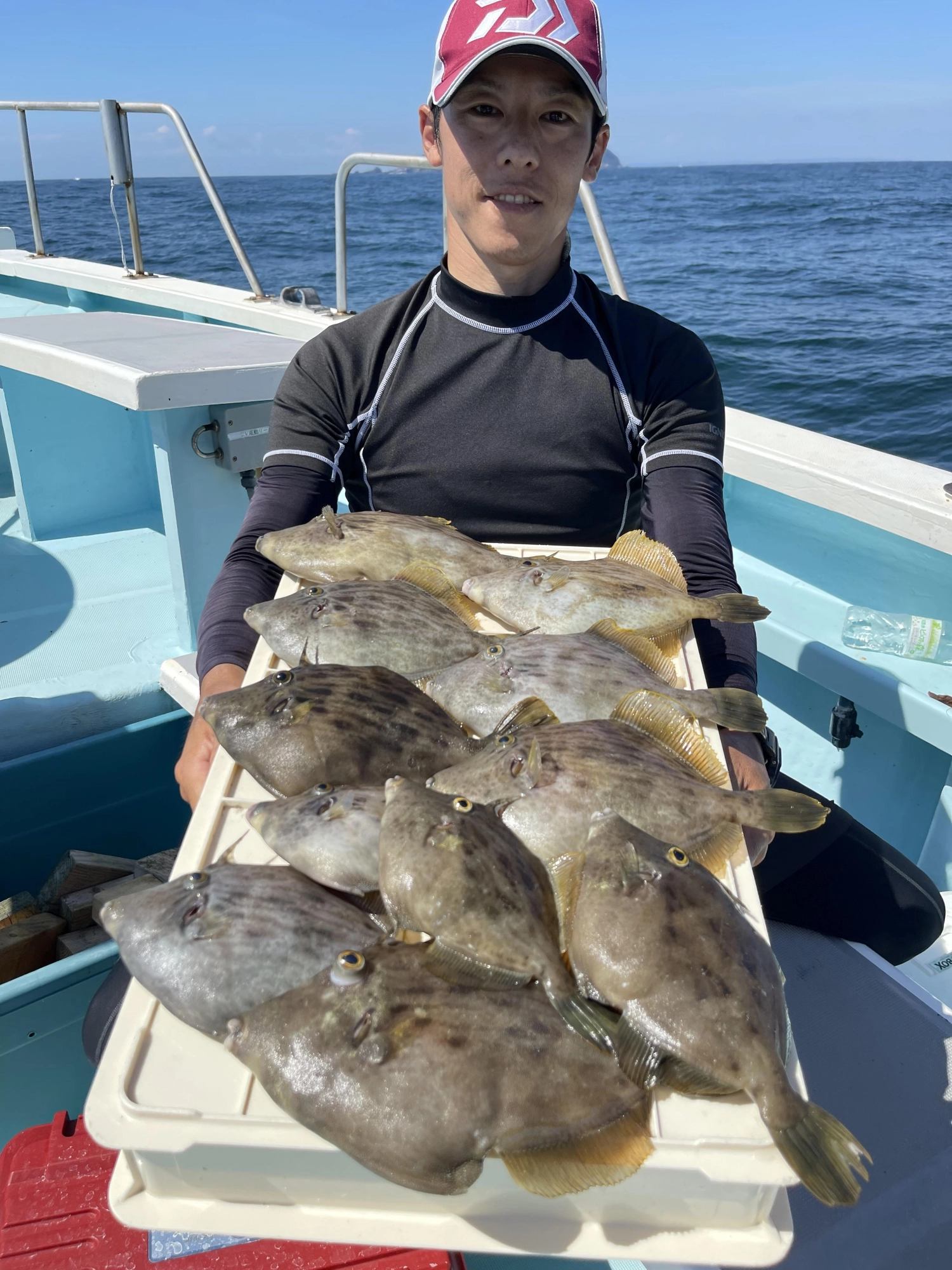 こちらの新規様もデカハギばかりを①①枚も釣りましたッ(・∀・)