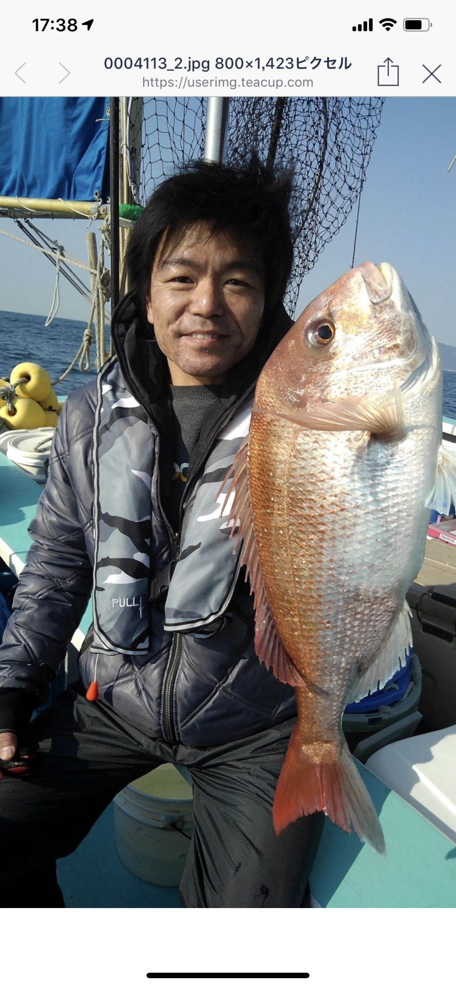 60㎝