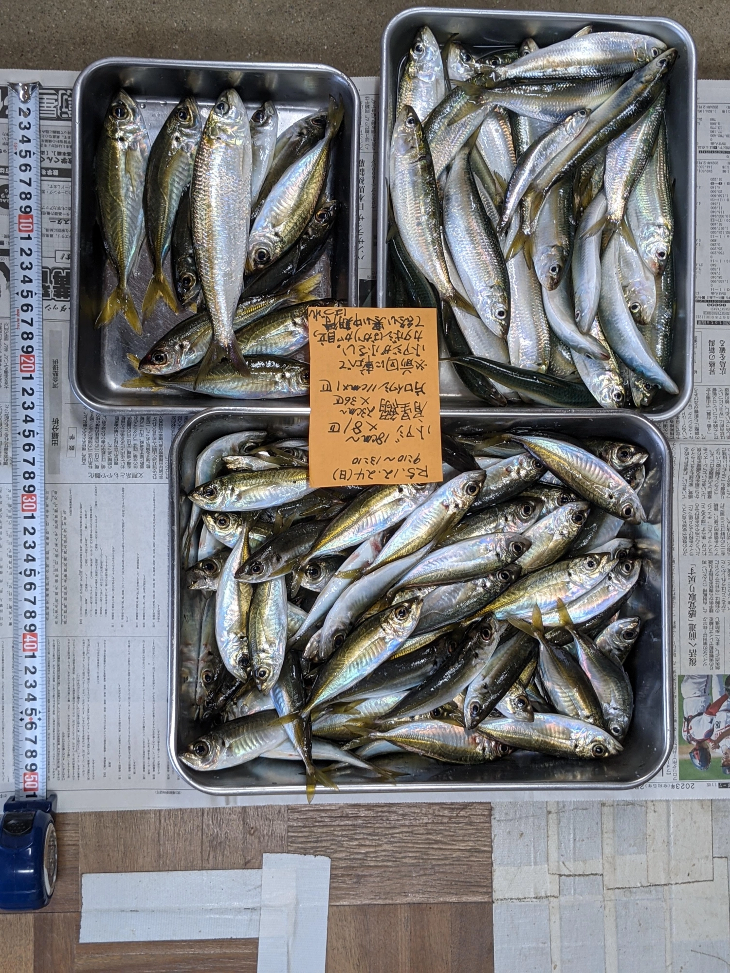 流石に寒く鼻水垂れる。　前回より各個体が小さい　　
前芝インターでのストレスがなくなり重畳