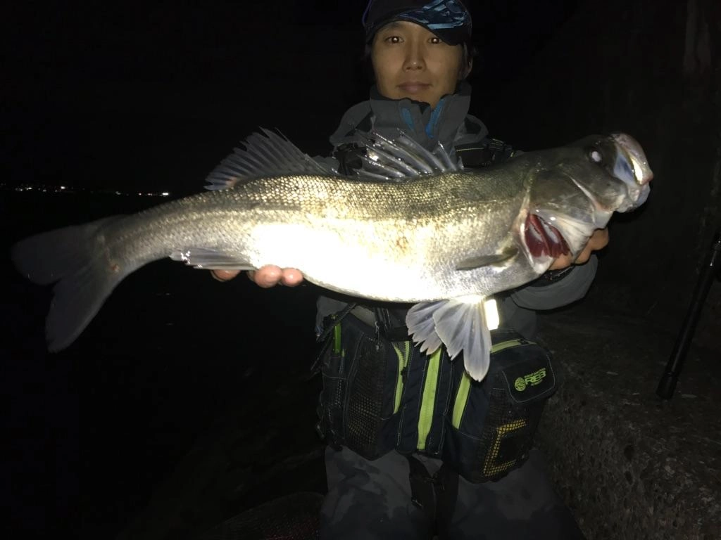 潮止まり直前シャルダスでヒット！