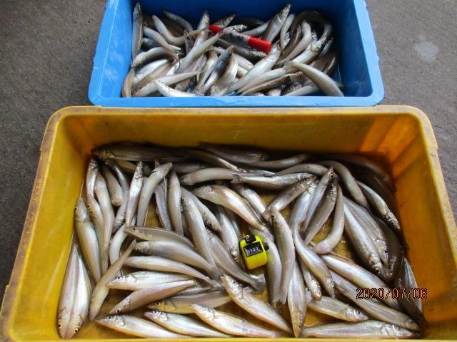 朝イチからワヤぐいッ(・∀・)b海底は『抱卵モロポチャギス』しか居ないッ٩( ᐛ )و⁈